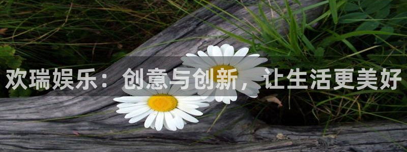 运达娱乐赏金女王