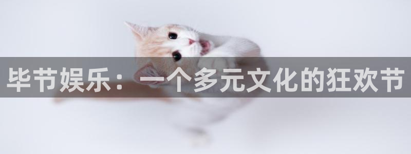 运达娱乐游app：毕节娱乐：一个多元文化的狂欢节
