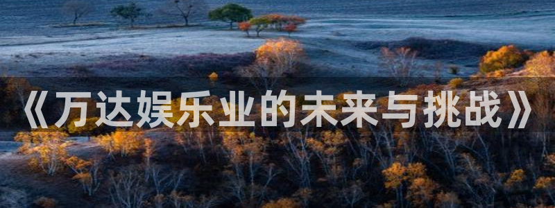运达娱乐2平台登录：《万达娱乐业的未来与挑战》