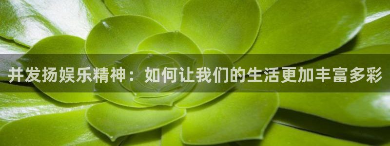 运达娱乐体育凯捷登陆：并发扬娱乐精神：如何让我们的生活更加丰富多彩