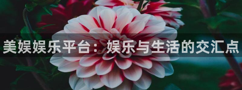 运达娱乐体育平台总代理：美娱娱乐平台：娱乐与生活的交汇点