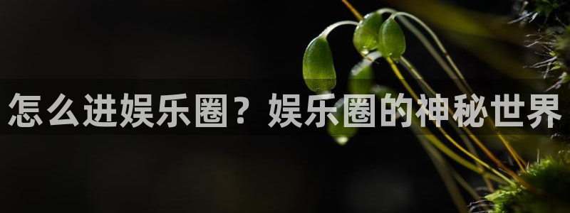 运达娱乐能源：怎么进娱乐圈？娱乐圈的神秘世界