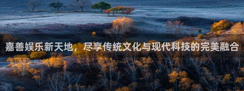 运达娱乐官网版下载链接：嘉善娱乐新天地，尽享传统文化与现代科技的完美融合