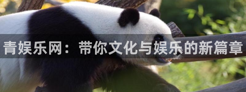 运达娱乐能源：青娱乐网：带你文化与娱乐的新篇章