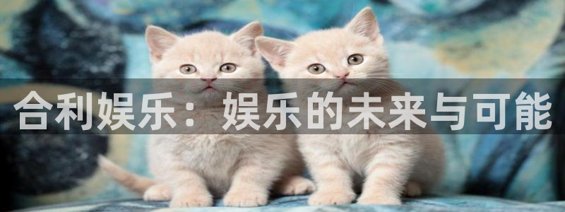上海运达娱乐汽车电子有限公司：合利娱乐：娱乐的未来与可能