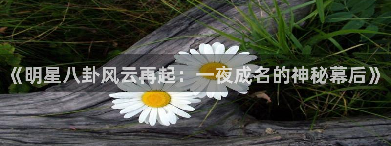 运达娱乐平台官方网站：《明星八卦风云再起：一夜成名的神秘幕后》