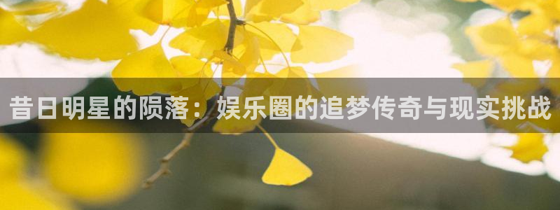 运达娱乐电子有限公司：昔日明星的陨落：娱乐圈的追梦传奇与现实挑战