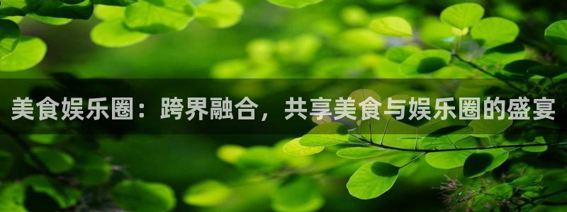 运达娱乐4登录：美食娱乐圈：跨界融合，共享美食与娱乐圈的盛宴