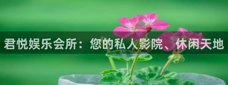 运达娱乐4平台：君悦娱乐会所：您的私人影院、休闲天地