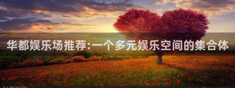 运达娱乐手机客户端下载安装：华都娱乐场推荐:一个多元娱乐空间的集合体