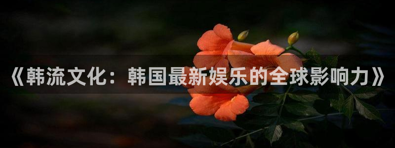 运达娱乐4注册：《韩流文化：韩国最新娱乐的全球影响力》