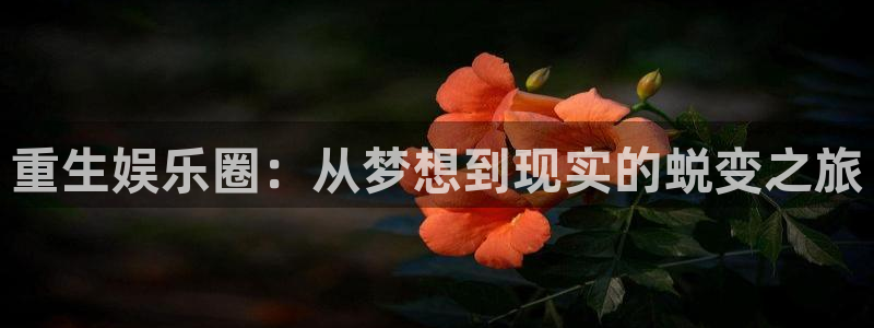 运达娱乐体育和杏耀是哪个公司的：重生娱乐圈：从梦想到现实的蜕变之旅