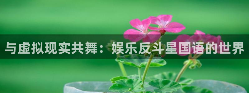运达娱乐加拿大在线预测：与虚拟现实共舞：娱乐反斗星国语的世界