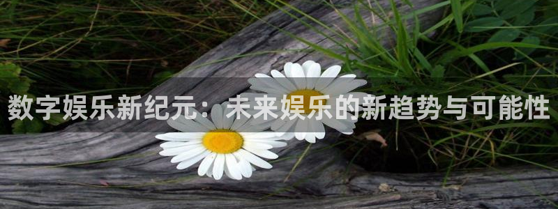 运达娱乐3平台登录注册：数字娱乐新纪元：未来娱乐的新趋势与可能性