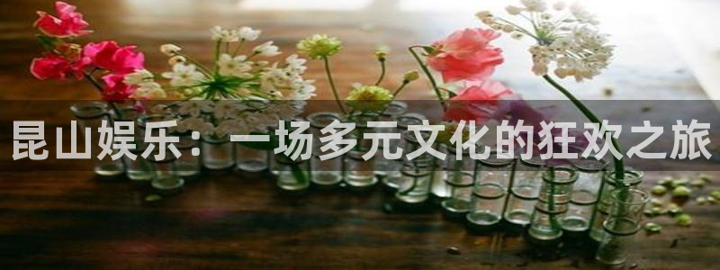 运达娱乐平台注册：昆山娱乐：一场多元文化的狂欢之旅