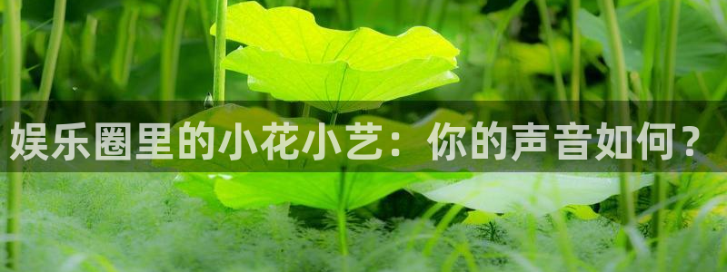 运达娱乐2体育登录入口：娱乐圈里的小花小艺：你的声音如何？