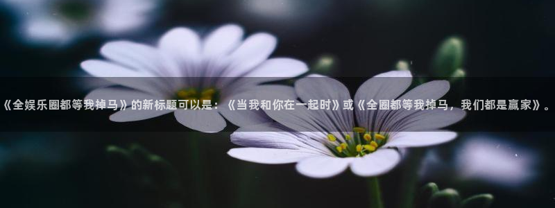 南宫运达娱乐官网版：《全娱乐圈都等我掉马》的新标题可以是：《当我和你在一起时》或