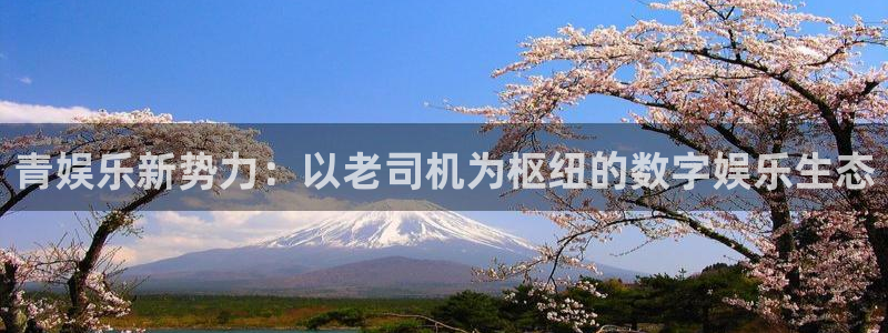 运达娱乐2平台：青娱乐新势力：以老司机为枢纽的数字娱乐生态