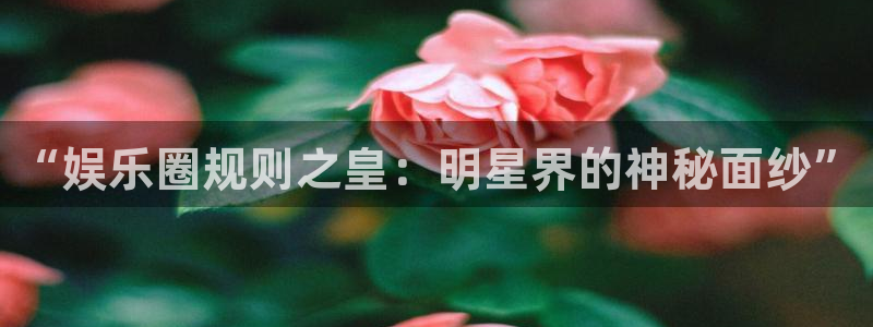 运达娱乐平台官网入口下载：“娱乐圈规则之皇：明星界的神秘面纱”