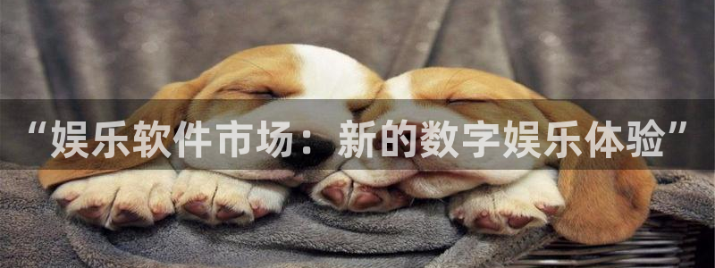 运达娱乐账号注册：“娱乐软件市场：新的数字娱乐体验”