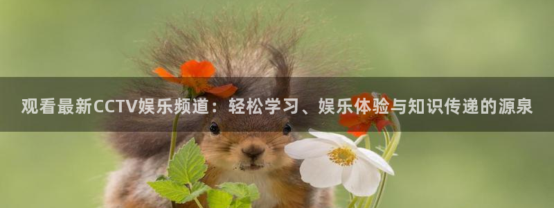 运达娱乐平台下载入口：观看最新CCTV娱乐频道：轻松学习、娱乐体验与知识传递的源