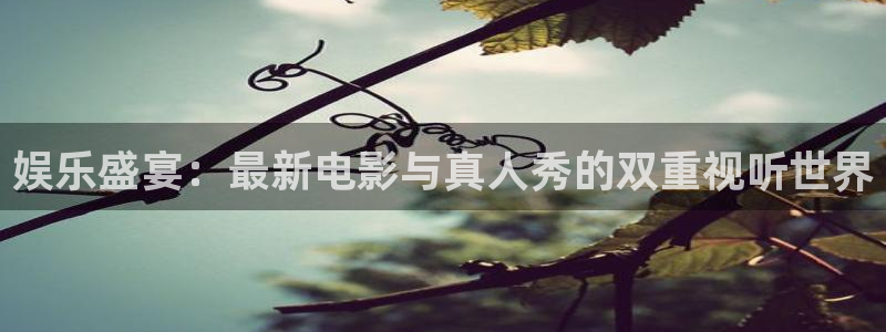 运达娱乐凯捷开号链接：娱乐盛宴：最新电影与真人秀的双重视听世界