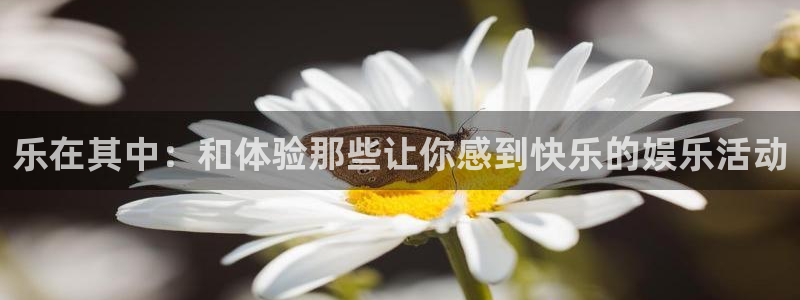 运达娱乐体育凯捷平台招商：乐在其中：和体验那些让你感到快乐的娱乐活动