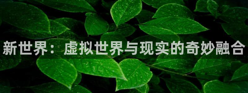 运达娱乐体育app下载：新世界：虚拟世界与现实的奇妙融合