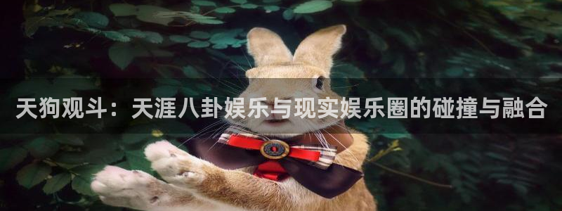 运达娱乐预测在线预测：天狗观斗：天涯八卦娱乐与现实娱乐圈的碰撞与融合