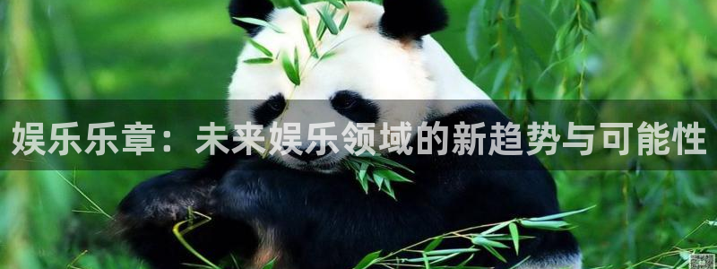 运达娱乐娱乐：娱乐乐章：未来娱乐领域的新趋势与可能性