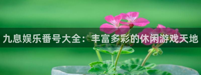 运达娱乐4平台注册：九息娱乐番号大全：丰富多彩的休闲游戏天地